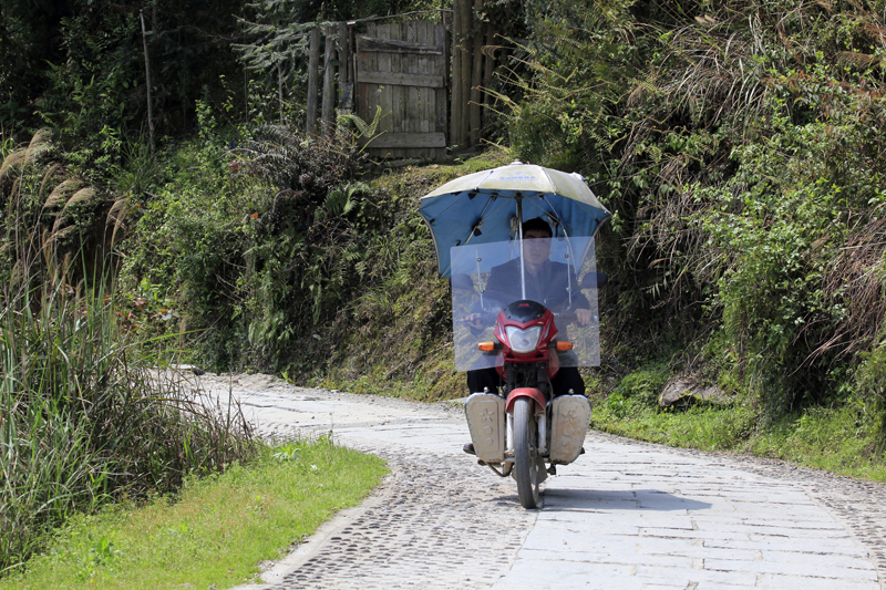 2017-04-12_112333 china-2017.jpg - Longsheng - Pingan - Reisterassen